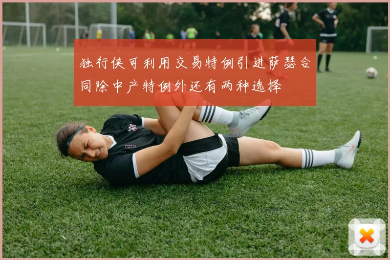 独行侠可利用交易特例引进萨瑟合同除中产特例外还有两种选择