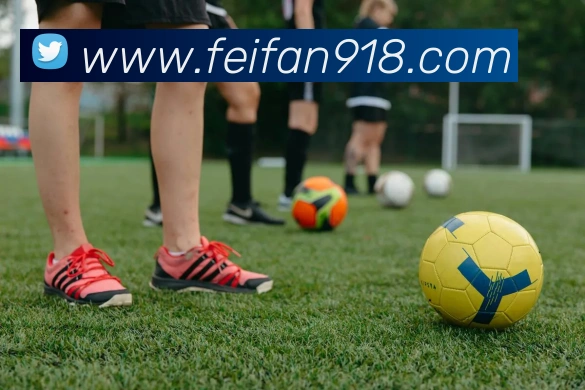 非凡体育服务体系